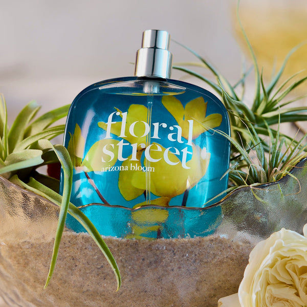 A Guide to Amber Fragrances: What Does Amber Smell Like?