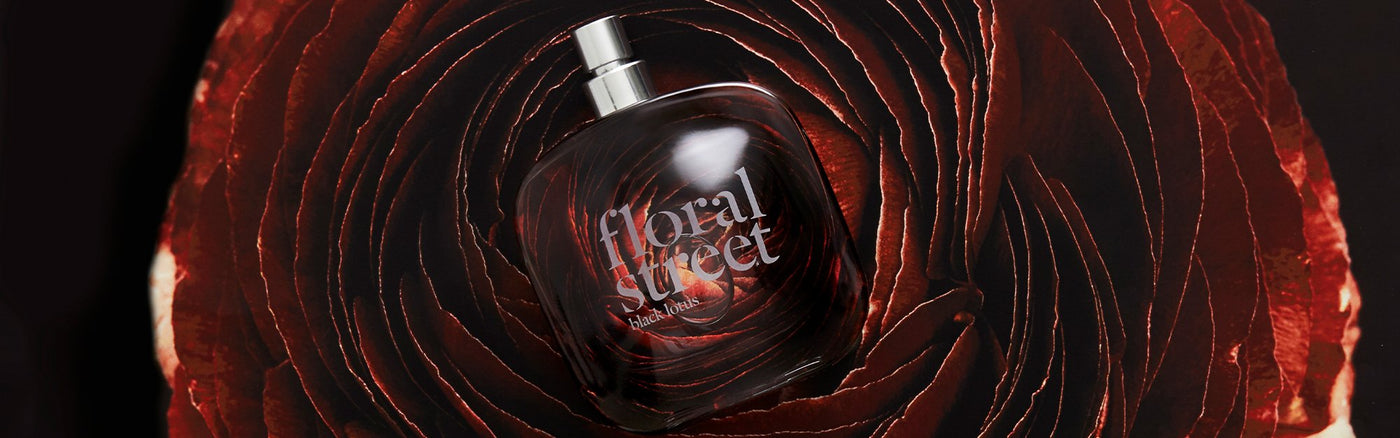 woody & spicy fragrances