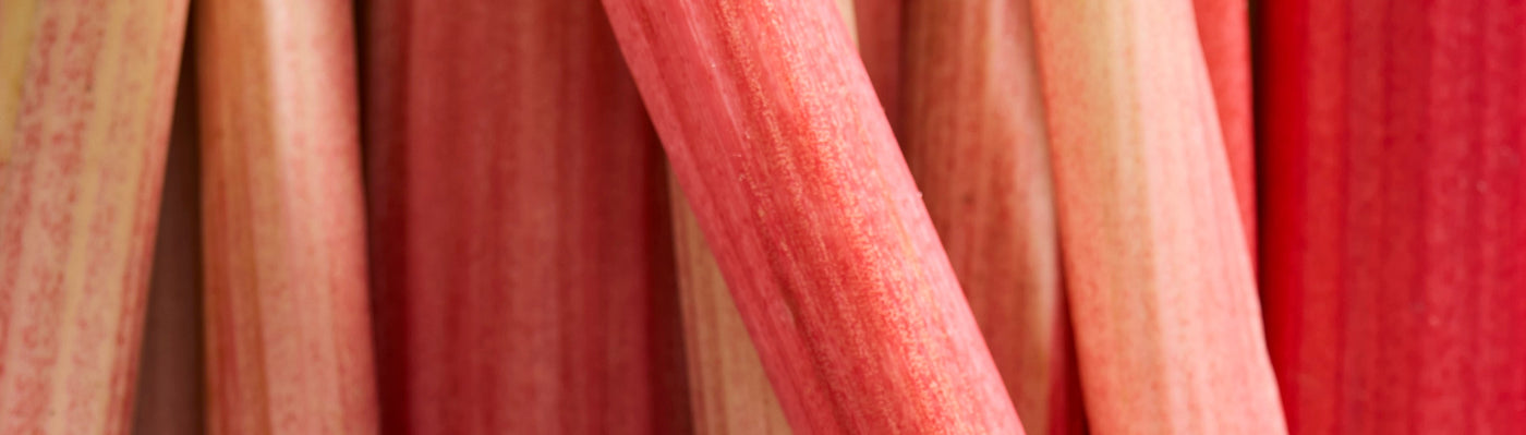 Electric Rhubarb Collection