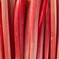Rhubarb | Ingredients | Floral Street