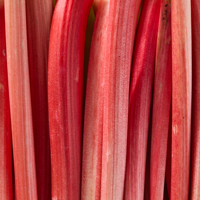 rhubarb | Floral Street Ingredients