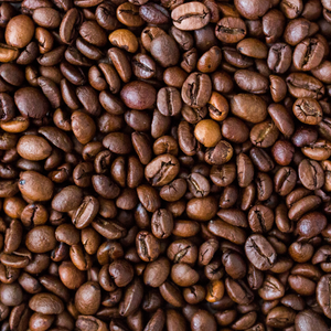 Coffee Beans | Ingredients | Floral Street