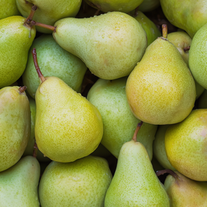 Pear | Ingredients | Floral Street