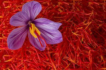 Saffron | Ingredients | Floral Street