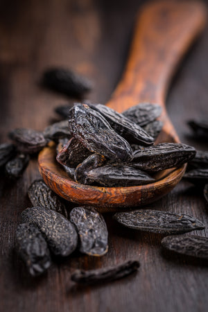 Tonka Bean | Ingredients | Floral Street