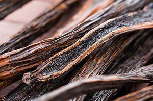 Vanilla Bean | Ingredients | Floral Street